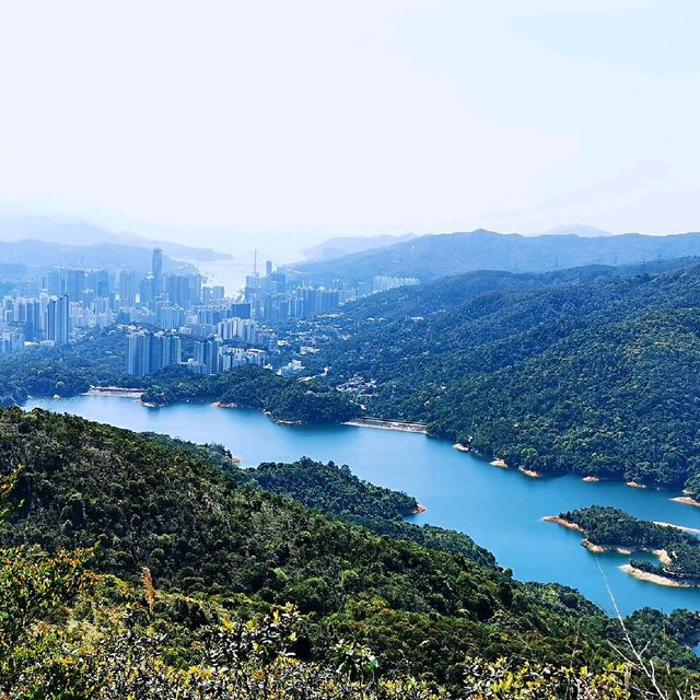 針山