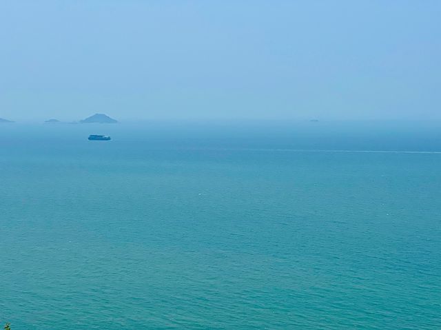 世界之大 中華白海豚