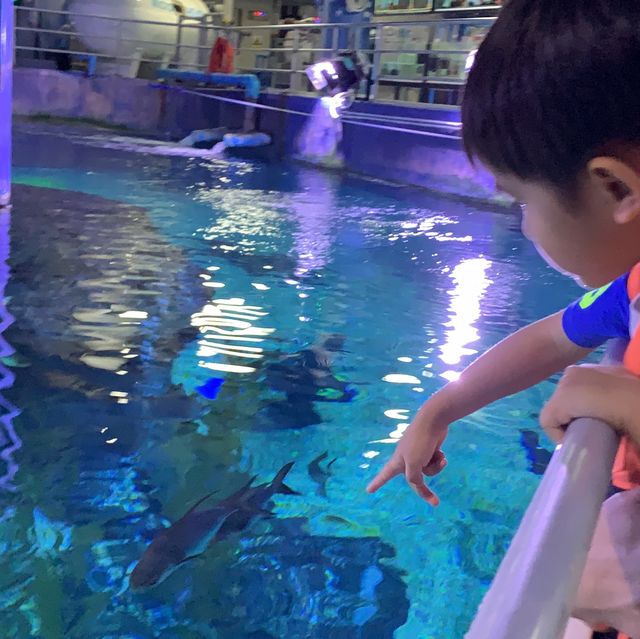 體驗不一樣的水族館 | 曼谷旅行