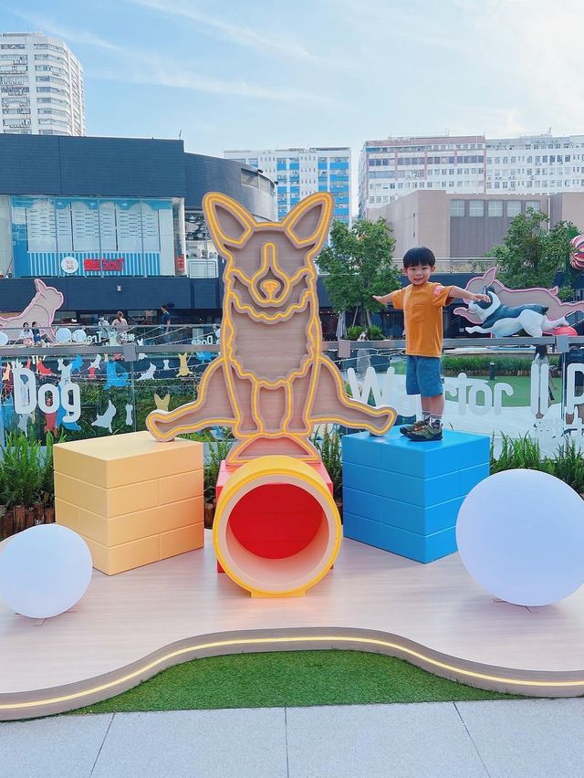 注意‼️汪星人出沒⚠️🐶 