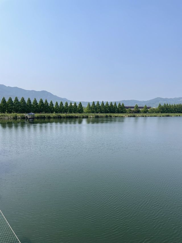 하늘에서 하는 특별한 꽃구경!