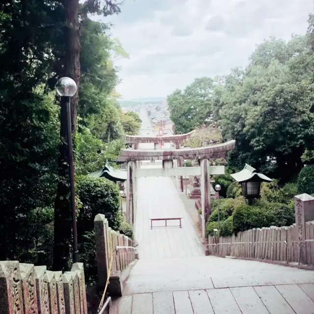 【福岡県】貴重な絶景で人気の宮地嶽神社を参拝⛩