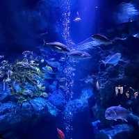 すみだ水族館