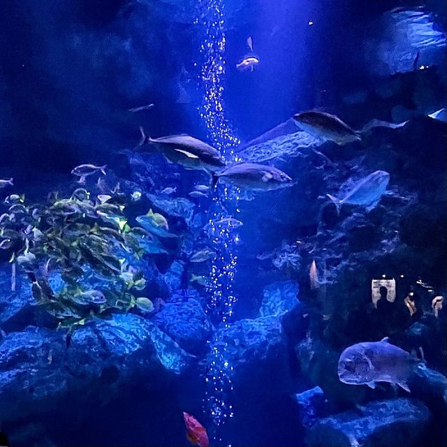 すみだ水族館