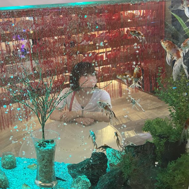 【インスタ映え】金魚ミュージアム
