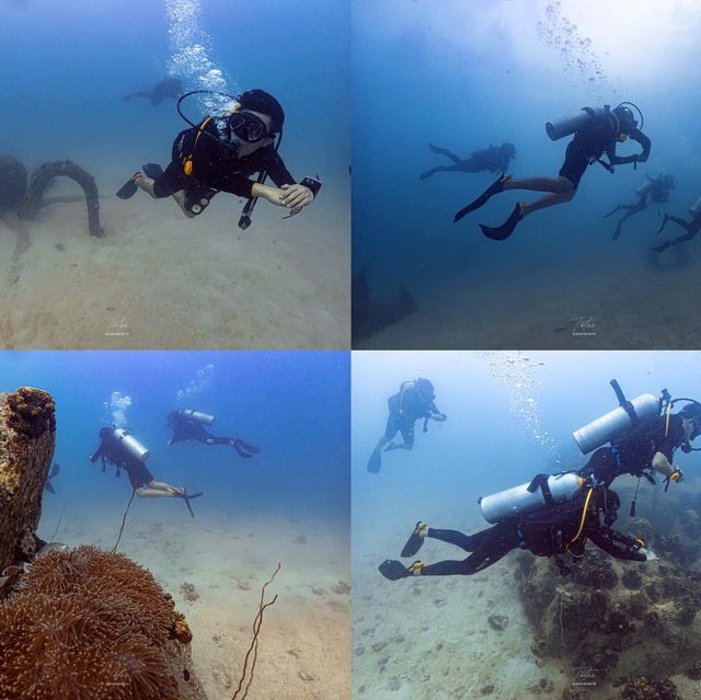 ไปเรียนดำน้ำ OPEN WATER ที่เกาะเต่ากัน🐢