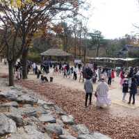 가을에 용인 가볼만한곳🍂한국민속촌