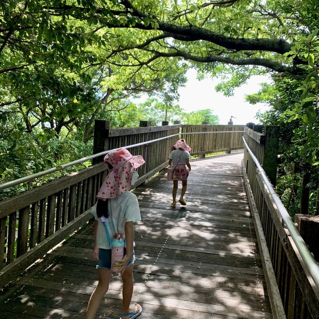 #重建歷史遺跡 #シャモット製作ボランティア #首里城正殿赤瓦