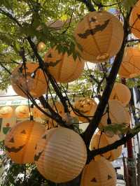 이번 주말 당장 가야할 곳:: 보정동 카페거리🎃