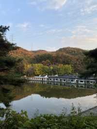 가을에는 글램핑이쥐 ! 용인 글램핑장, 메이폴릭 🍂🔥
