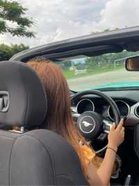 사이판 여행 필수 오픈카, 머스탱 렌트🐎