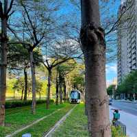 高雄市鼓山區 ｜ 高雄輕軌龍貓隧道
