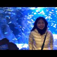 พามาเที่ยว New York Aquarium ค่ะ