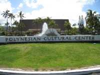 Hawaii native art and culture