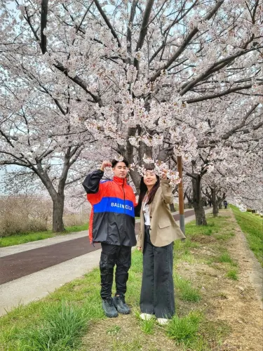 부산 벚꽃터널은 여기, 맥도공원🌸