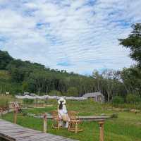  โอบบ์ Farm & Cafe