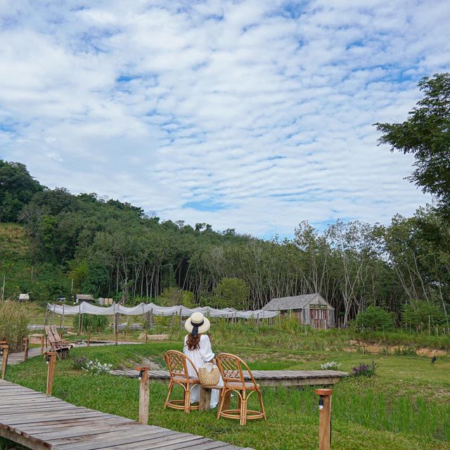  โอบบ์ Farm & Cafe
