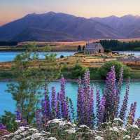 Lake Tekapo/