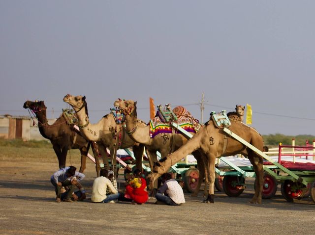 Rann Utsav - Kutch, Gujrat 