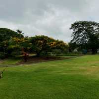 Stroll in a royal garden