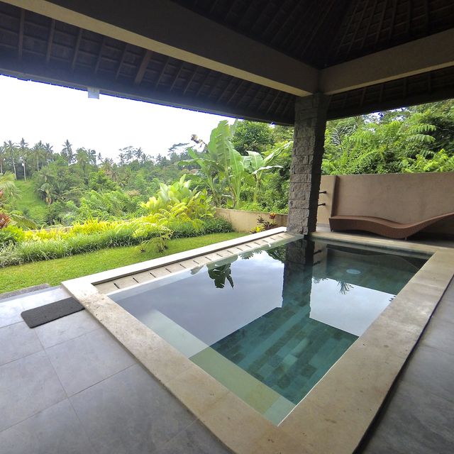 Private Villa with Lush Jungle Landscape