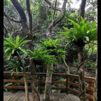 Mount Yangtai Forest Park