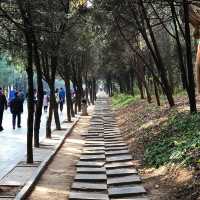 동양무술의 요람, 소림사(小林寺)