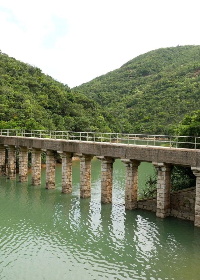 綠色力量策動：「第三十一屆 - 綠色力量環島行」即將接受報名！ | 港島徑