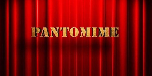 Wexford IFCA Branch Panto Rapunzel at the National Opera House | National Opera House