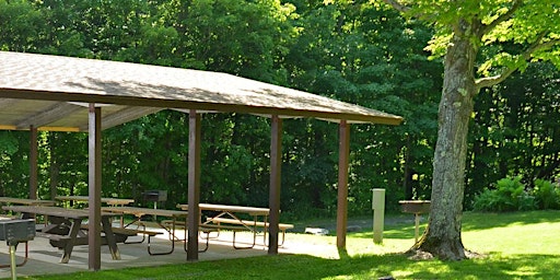 Verandah Porche: Words in the Woods | Molly Stark State Park