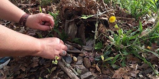 Kids' Fairy Houses | Lion Mountain Trailhead