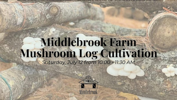 Middlebrook Farm Mushroom Log Cultivation Workshop | Middlebrook Farm