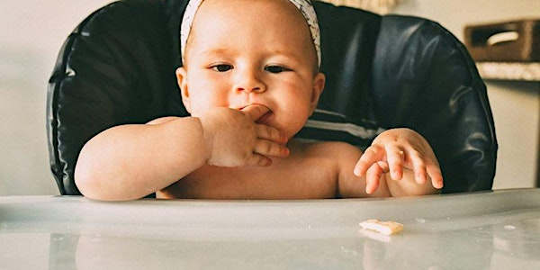 Let's Get Weaning at The Baby Room in June | The Baby Room Exeter CIC