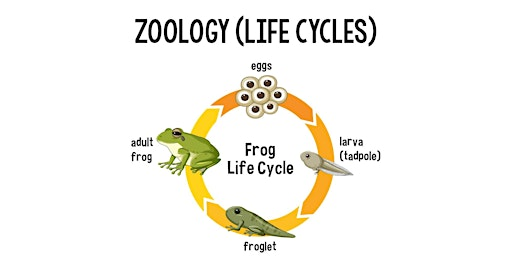 Life Cycle Science | 1816 W Baseline Rd