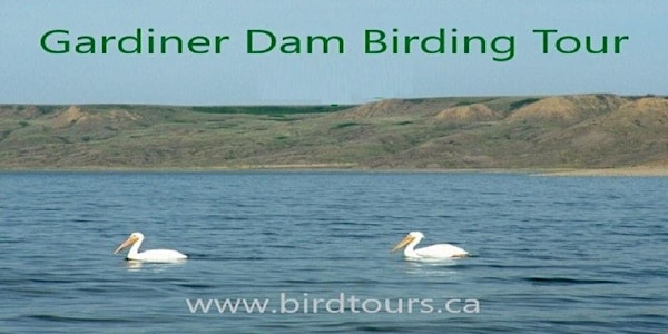 Gardiner Dam - Anerley Lakes Birding Tour from Saskatoon | Western Development Museum