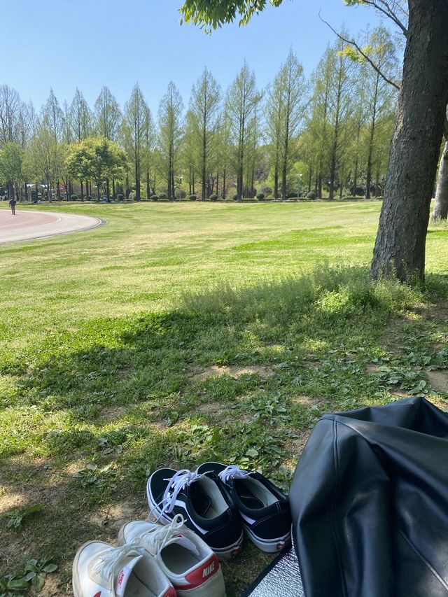 한국의 센트럴파크 🏝 전트럴파크 