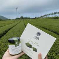 [제주] 녹차🍵의 매력에 풍덩, 제주 오설록