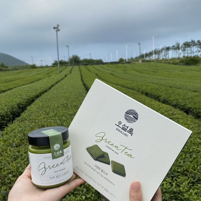 [제주] 녹차🍵의 매력에 풍덩, 제주 오설록