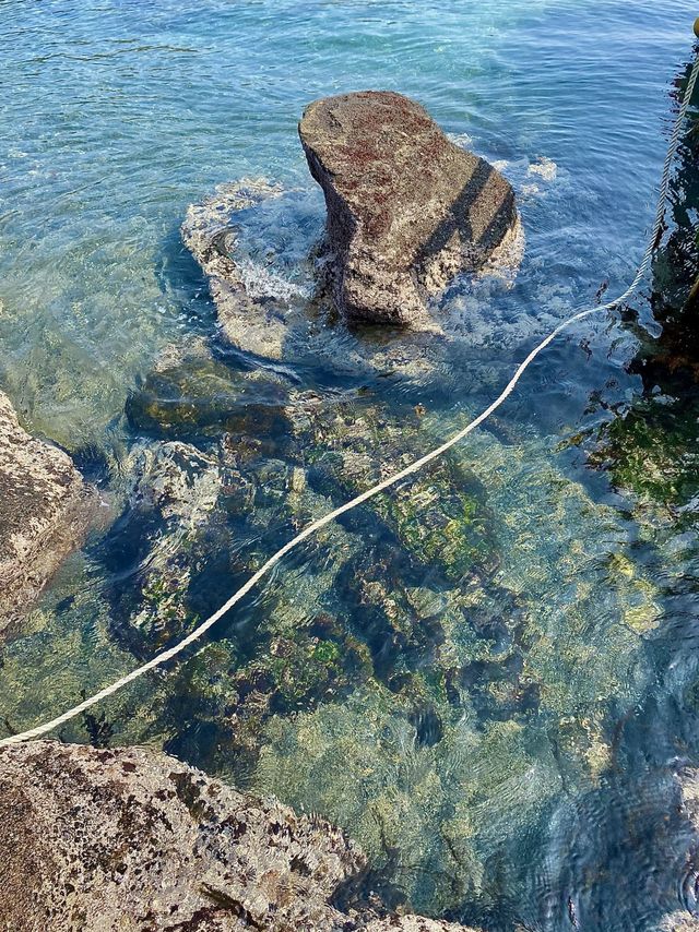 📍제주도의 또다른 섬 섬속에 섬 제주도우도🏝