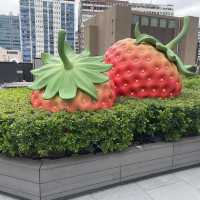 葵芳新都會廣場
