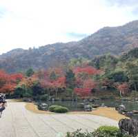 京都[紅葉めぐり] 絶景の天龍寺