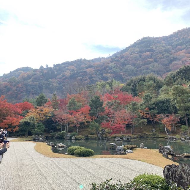 京都[紅葉めぐり] 絶景の天龍寺