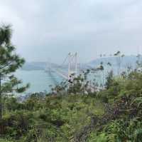 近距離欣賞青馬大橋—青衣自然徑
