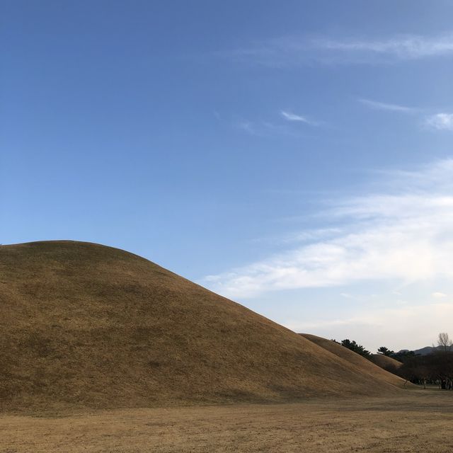 [경주 핫플] 신라시대고분군_대릉원