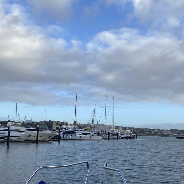 Fishing in Cascais Portugal 🇵🇹 