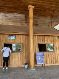 เที่ยวน้ำตกตาดกวางชี ในช่วงปีใหม่