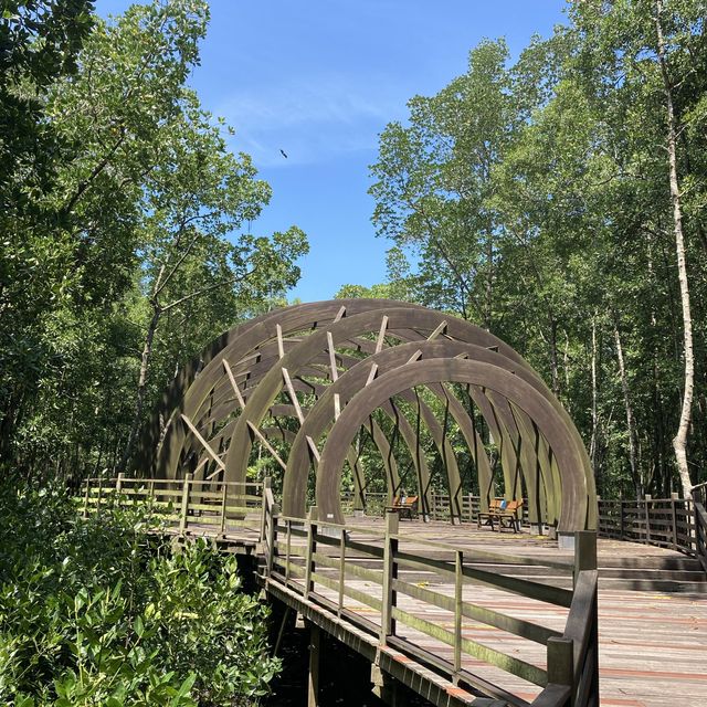 A Day in Kukup Island National Park