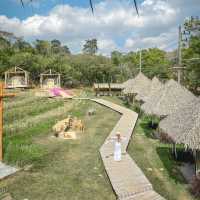 นาเขา คาเฟ่ BY Landbreeze resort เขาใหญ่