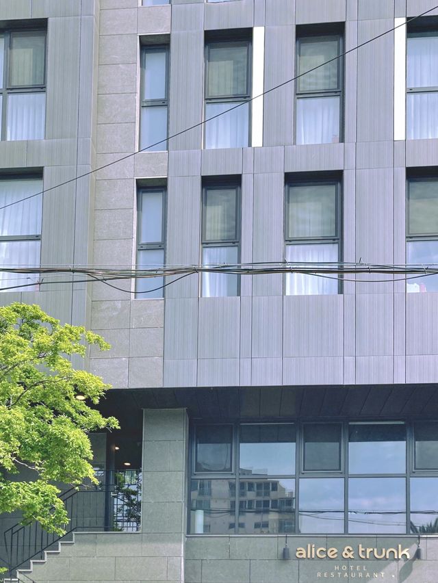 제주 도심, 감각적인 호텔을 찾는다면 이 곳✨
