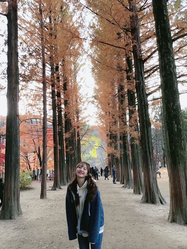 춘천 하면 남이섬이죠💖